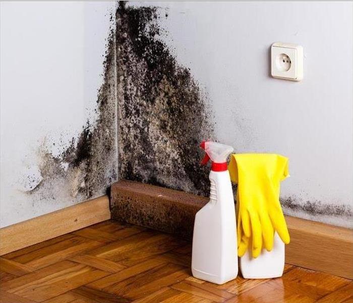 Mold prevention in your home